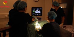 Bí kíp chuyển phôi thành công ngay trong lần đầu tiên 4