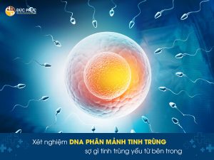 xét nghiệm DNA phân mảnh