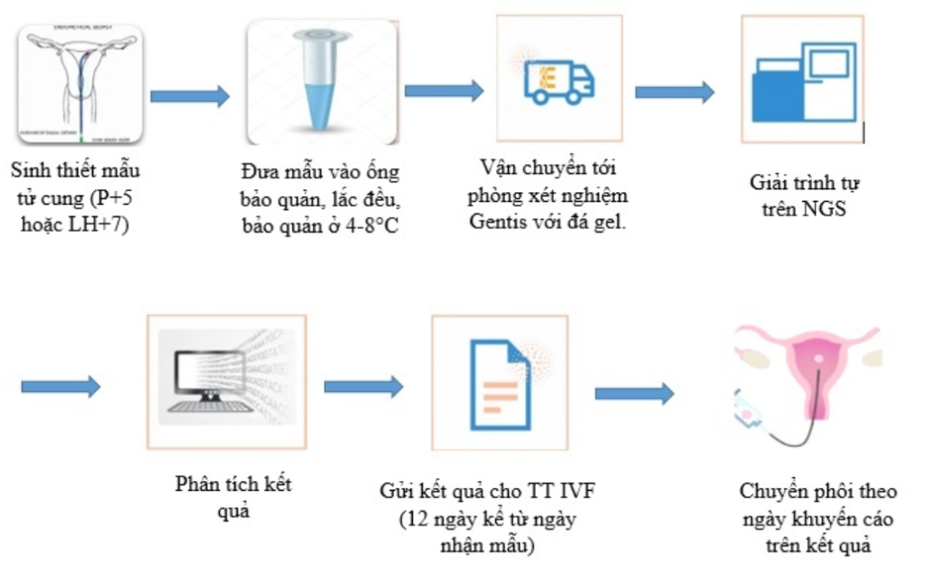 NK và Era test - Giải pháp mới cho thất bại chuyển phôi và sảy thai liên tiếp 4