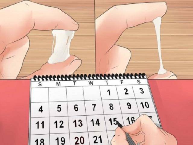 Ngực căng tức, đau vùng bụng dưới, tăng ham muốn tình dục… là dấu hiệu rụng trứng điển hình