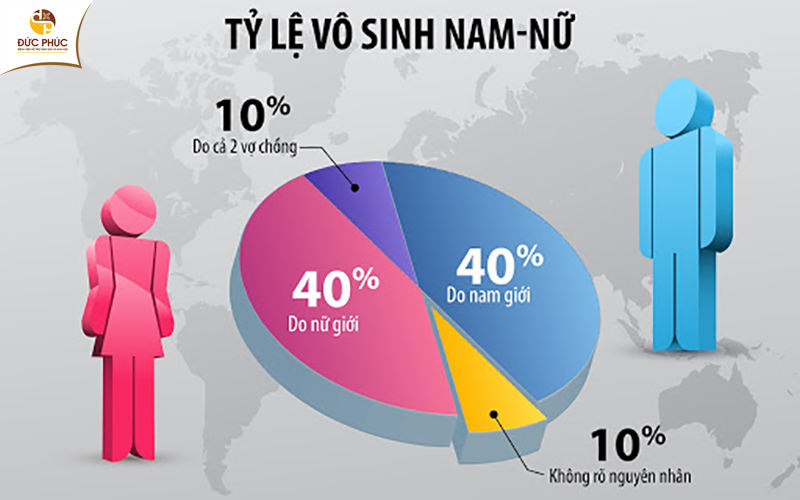 Tỷ lệ vô sinh ở nam giới và nữ giới là tương đương nhau