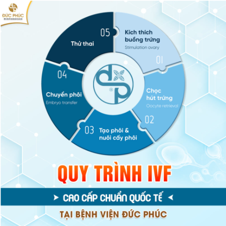 Quy trình IVF cao cấp chuẩn quốc tế tại Đức Phúc