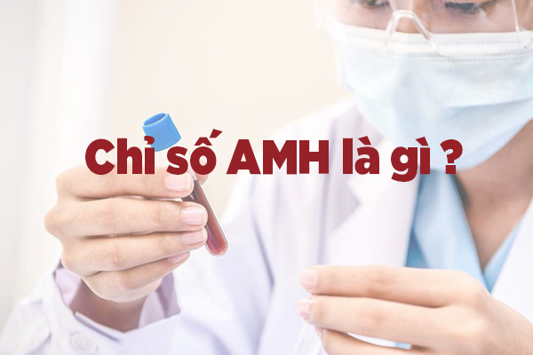 Chỉ số AMH là gì 