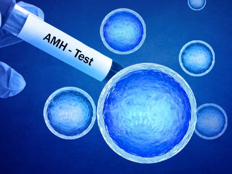 AMH ảnh hưởng đến kết quả thụ tinh ống nghiệm IVF