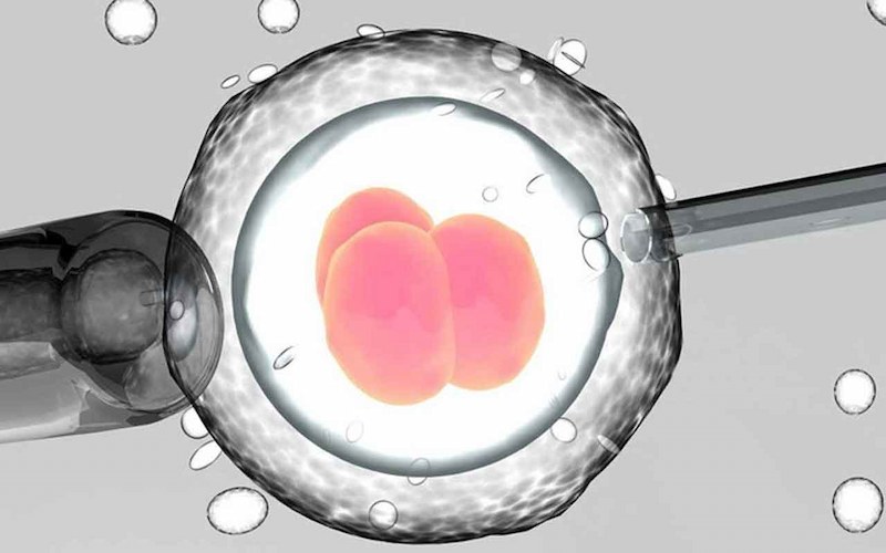 Có rất nhiều yếu tố ảnh hưởng đến kết quả thụ tinh trong ống nghiệm