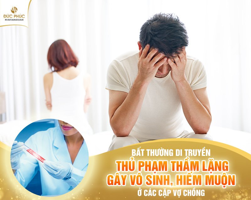 Bệnh viện Đức Phúc miễn phí xét nghiệm gen cùng Chủ tịch Hội Di truyền Y Học Việt Nam - PGS.TS Trần Đức Phấn