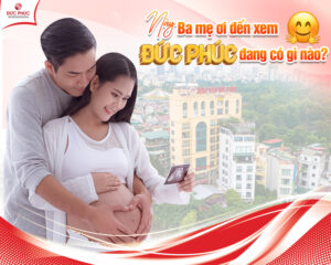 Thai sản trọn gói Đức Phúc mang lại vô vàn quyền lợi hấp dẫn dành cho mẹ bầu