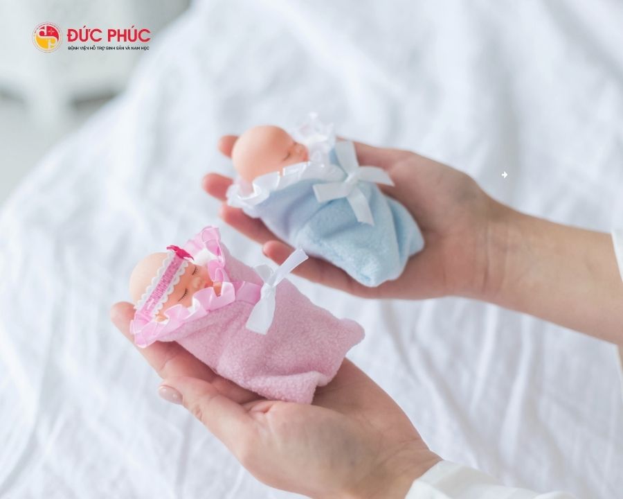 Thụ tinh trong ống nghiệm và thụ tinh nhân tạo là những phương pháp hỗ trợ sinh sản phổ biến nhất hiện nay