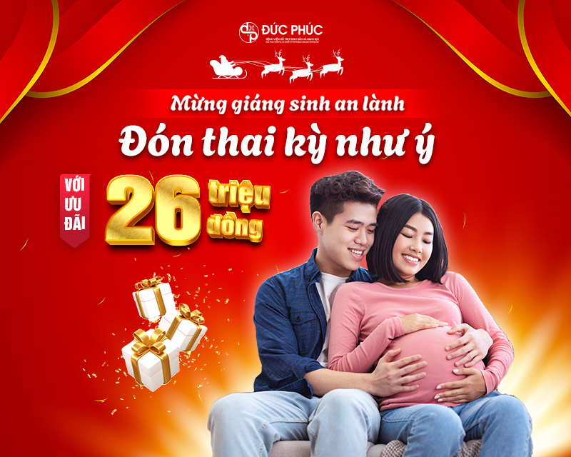 Mừng giáng sinh an lành - Đón thai kỳ như ý, Đức Phúc tặng mẹ ưu đãi đến 26 triệu đồng