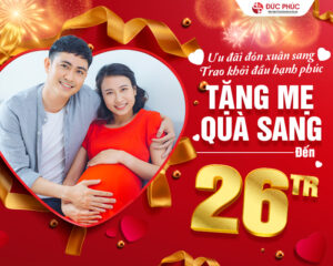 Ưu đãi đón xuân sang - Trao khởi đầu hạnh phúc, Bệnh viện Đức Phúc tặng mẹ ưu đãi gói Quản lý thai kỳ lên tới 26 triệu đồng