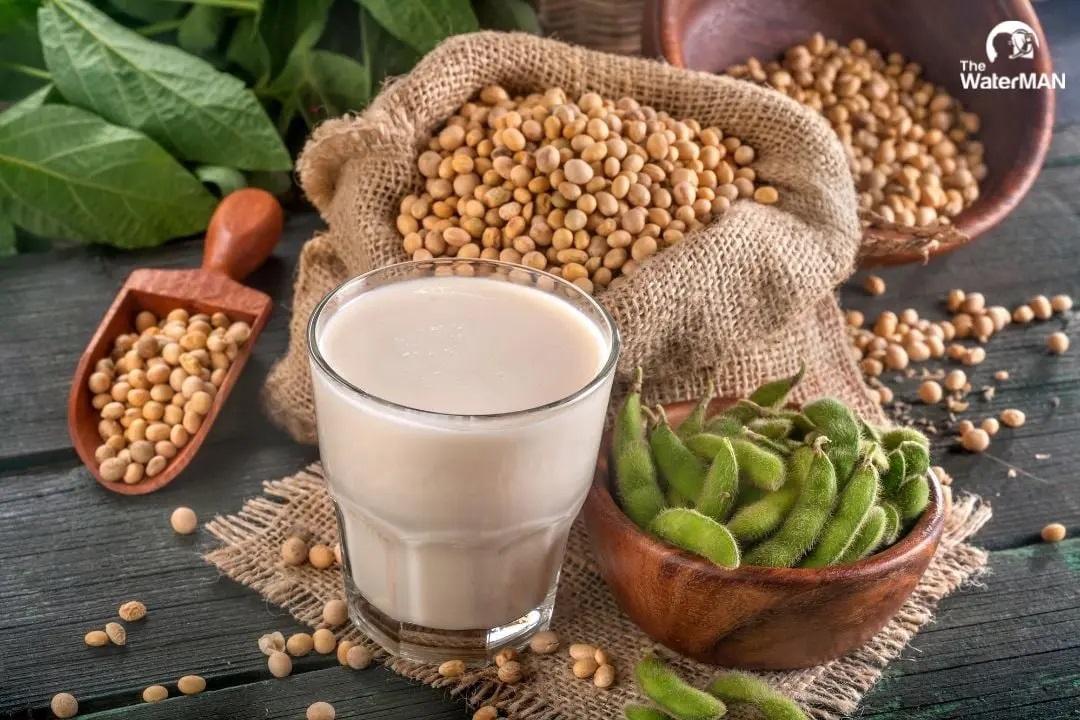 Nam giới uống sữa đậu nành không lo ảnh hưởng tới khả năng tình dục và sinh sản