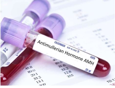 Xét nghiệm AMH có thể giúp đánh giá số noãn còn lại ở buồng trứng và diễn tiến của hiện tượng lão hóa của buồng trứng