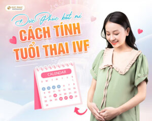 Việc tính tuổi thai IVF sẽ giúp mẹ bầu theo dõi được sự phát triển và sức khỏe của thai nhi