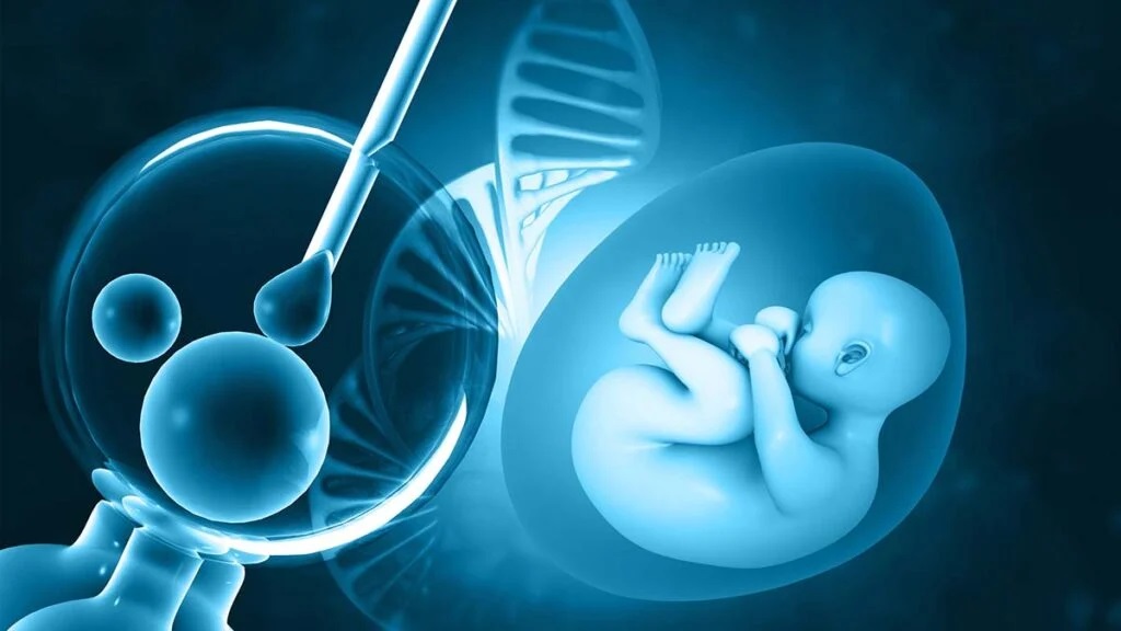 IVF là phương pháp hỗ trợ sinh sản hiệu quả nhất cho trường hợp buồng trứng đa nang
