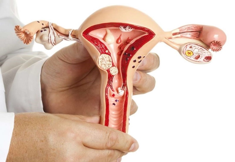 Suy buồng trứng sớm ảnh hưởng nghiêm trọng đến khả năng sinh sản