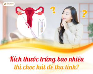 Kích thước trứng bao nhiêu thì chọc hút để thụ tinh