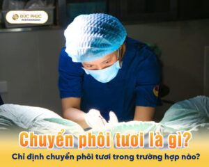 Chuyển phôi tươi là gì Chỉ định chuyển phôi tươi trong trường hợp nào