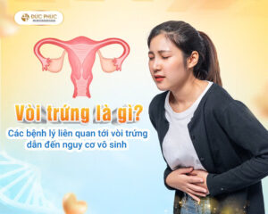 Vòi trứng là gì? Các bệnh lý liên quan tới vòi trứng dẫn đến nguy cơ vô sinh