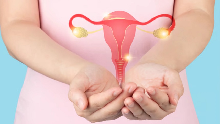 Rối loạn phóng noãn là một trong những nguyên nhân chính gây vô sinh ở phụ nữ