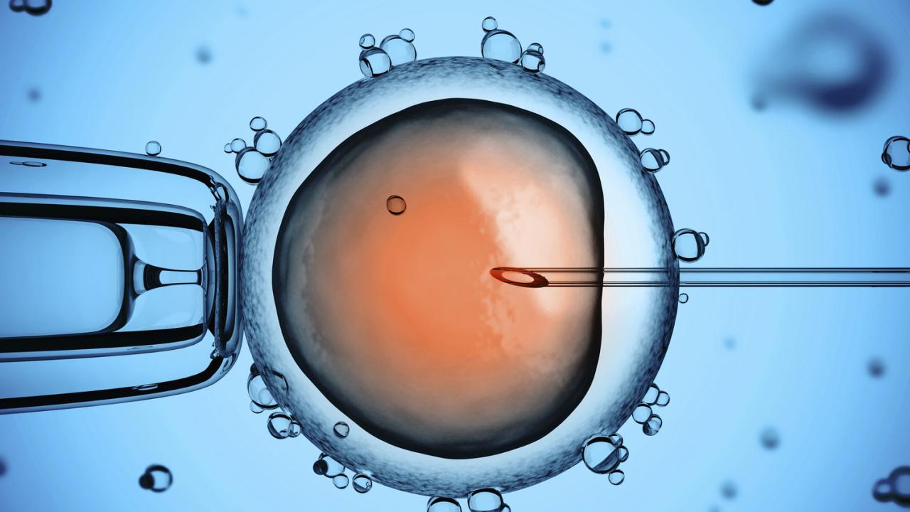 Một chu kỳ thụ tinh ống nghiệm IVF thường kéo dài ít nhất 1 tháng