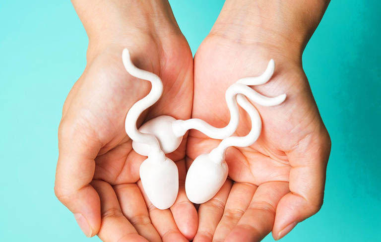 Không có tinh trùng là tình trạng tinh dịch khi xuất ra không chứa bất kỳ tinh trùng nào