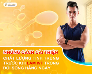 Những cách cải thiện chất lượng tinh trùng trước khi làm IVF