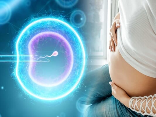 Thời gian để chu kỳ kinh nguyệt ổn định trở lại phụ thuộc lớn vào việc quá trình IVF có thành công hay không