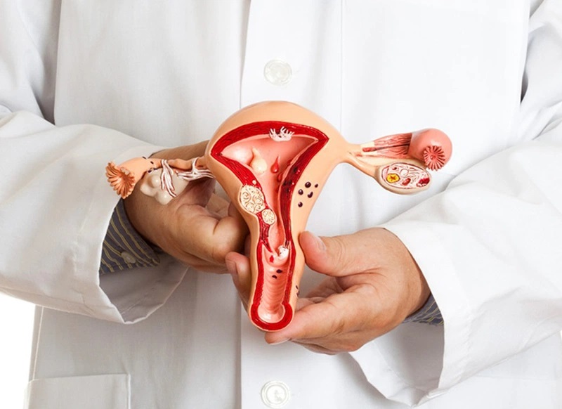 Trứng ở phụ nữ lớn tuổi dễ gặp phải các bất thường về di truyền