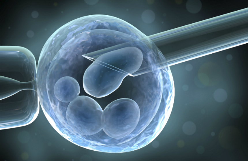 Chuyển phôi IVF hoàn toàn có thể thực hiện sau khi sảy thai