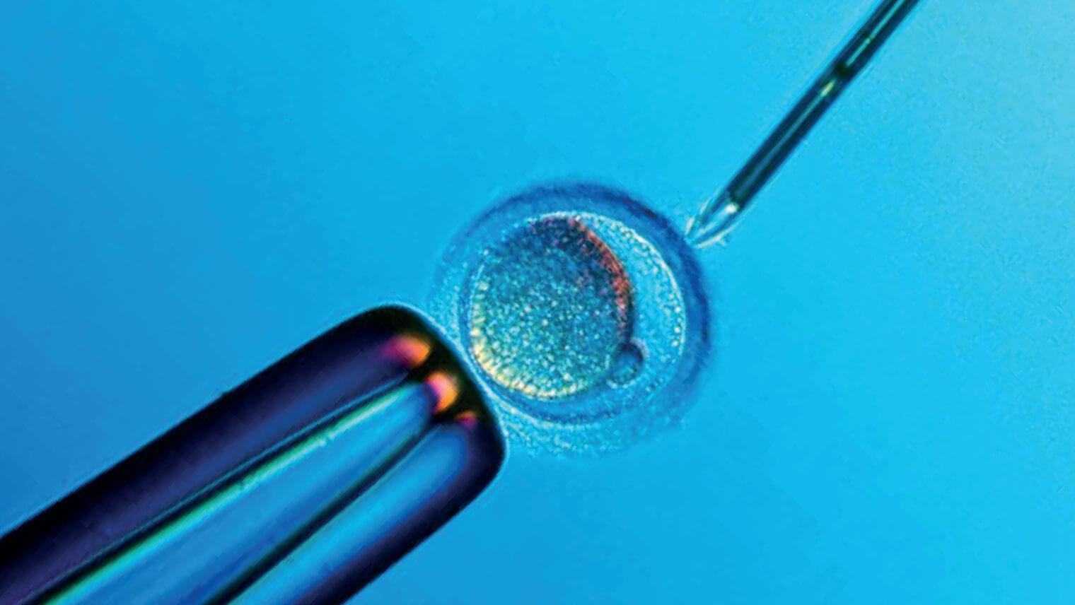 Thành công IVF ngay lần đầu không quá khó