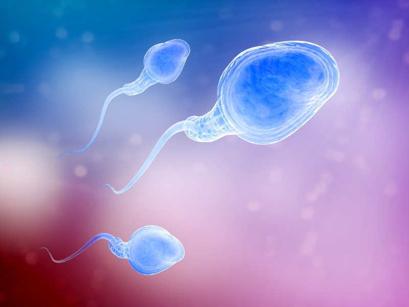 Tinh trùng yếu có cần điều trị trước khi tiến hành IVF hay không phụ thuộc vào mức độ nghiêm trọng của tình trạng