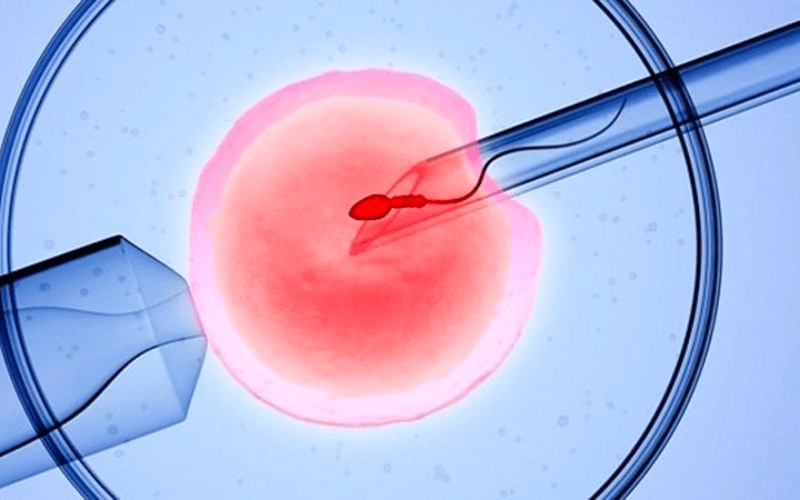 Chuyển phôi là một bước can thiệp y khoa quan trọng trong quá trình thụ tinh trong ống nghiệm (IVF)