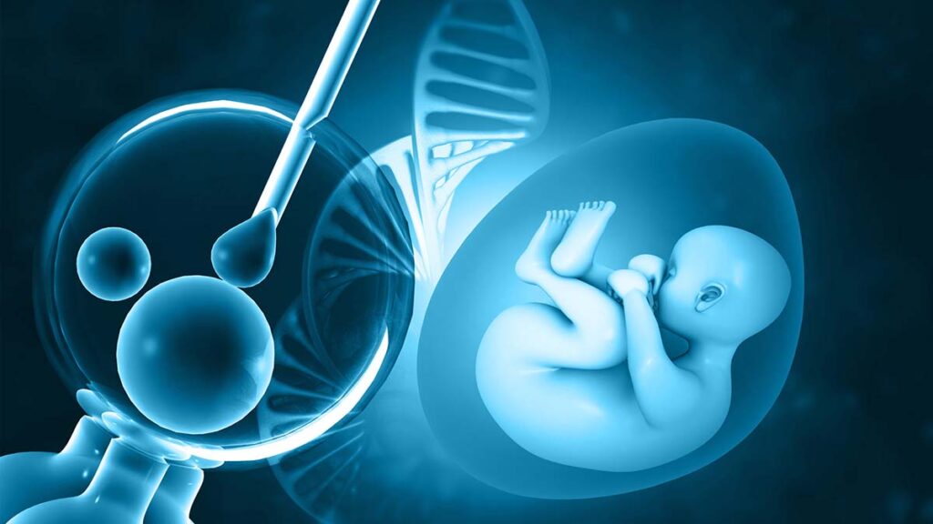 Sự khác biệt đáng chú ý là thai phụ mang thai IVF thường được theo dõi sát sao hơn trong suốt thai kỳ