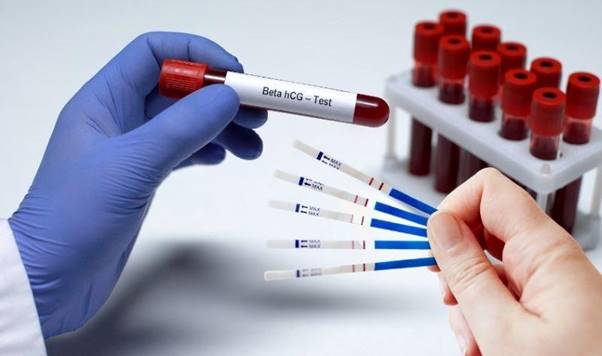 Beta hCG là một loại hormone do bánh nhau tiết ra ngay từ giai đoạn đầu của thai kỳ