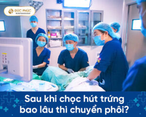 Sau khi chọc hút trứng bao lâu thì chuyển phôi?